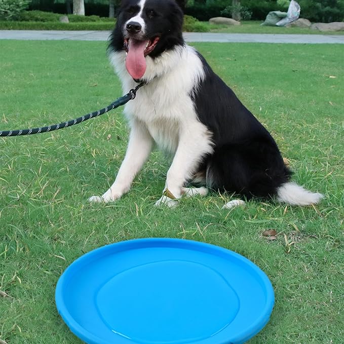 Frisbee - FlyDog™ - Bleu - Le Royaume des toutous