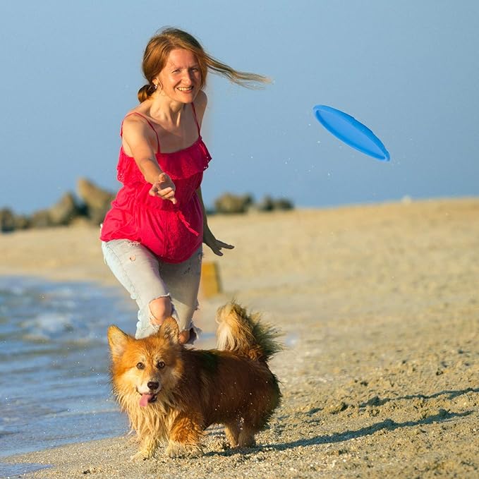 Frisbee - FlyDog™ - Bleu - Le Royaume des toutous