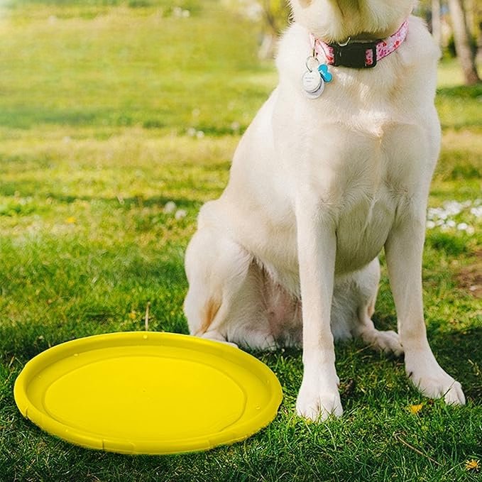Frisbee - FlyDog™ - Jaune - Le Royaume des toutous