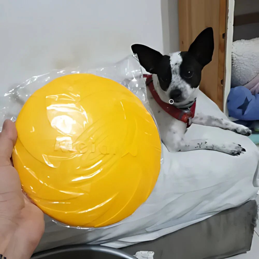 Frisbee - FlyDog™ - Jaune - Le Royaume des toutous