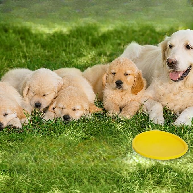 Frisbee - FlyDog™ - Jaune - Le Royaume des toutous