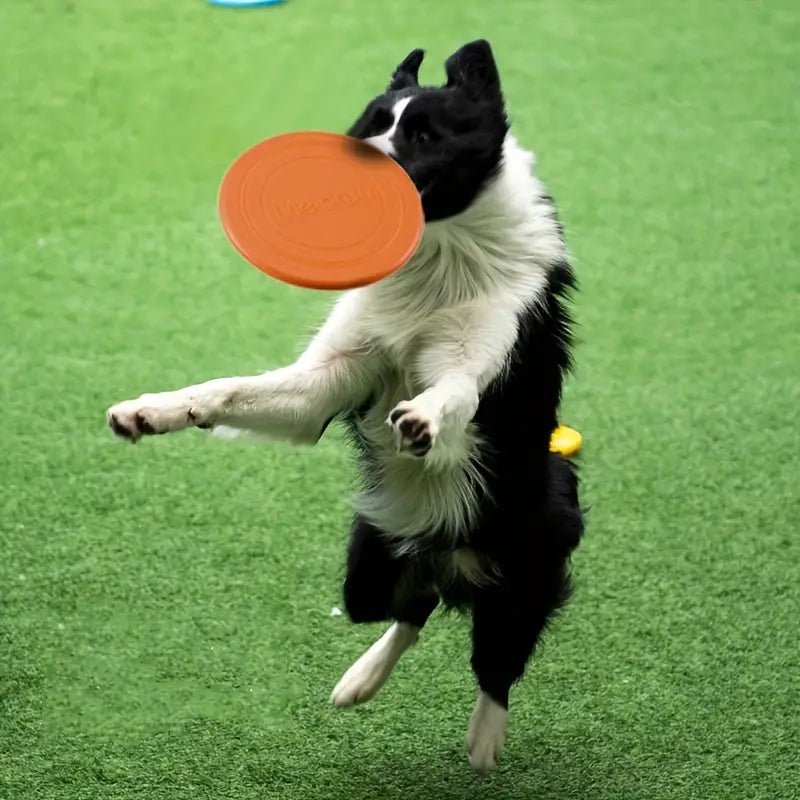 Frisbee - FlyDog™ - Orange - Le Royaume des toutous