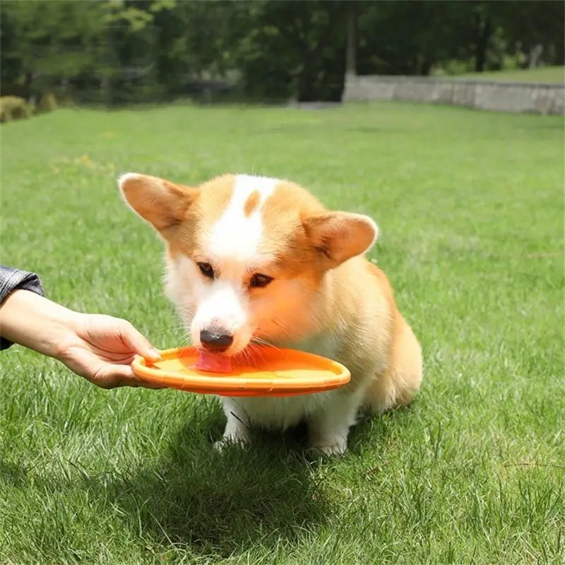 Frisbee - FlyDog™ - Orange - Le Royaume des toutous