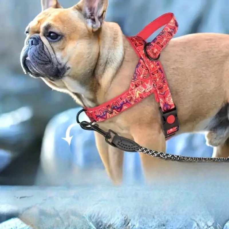 Harnais Chien - DogSafeHarness™ - Rouge - Le Royaume des toutous