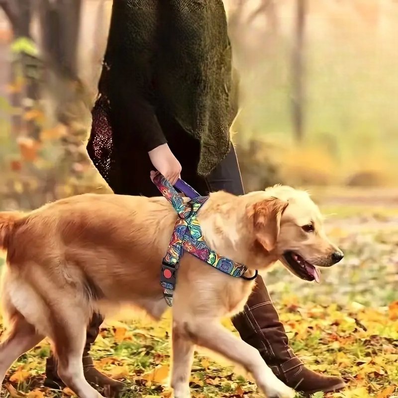 Harnais Chien - DogSafeHarness™ - Violet - Le Royaume des toutous