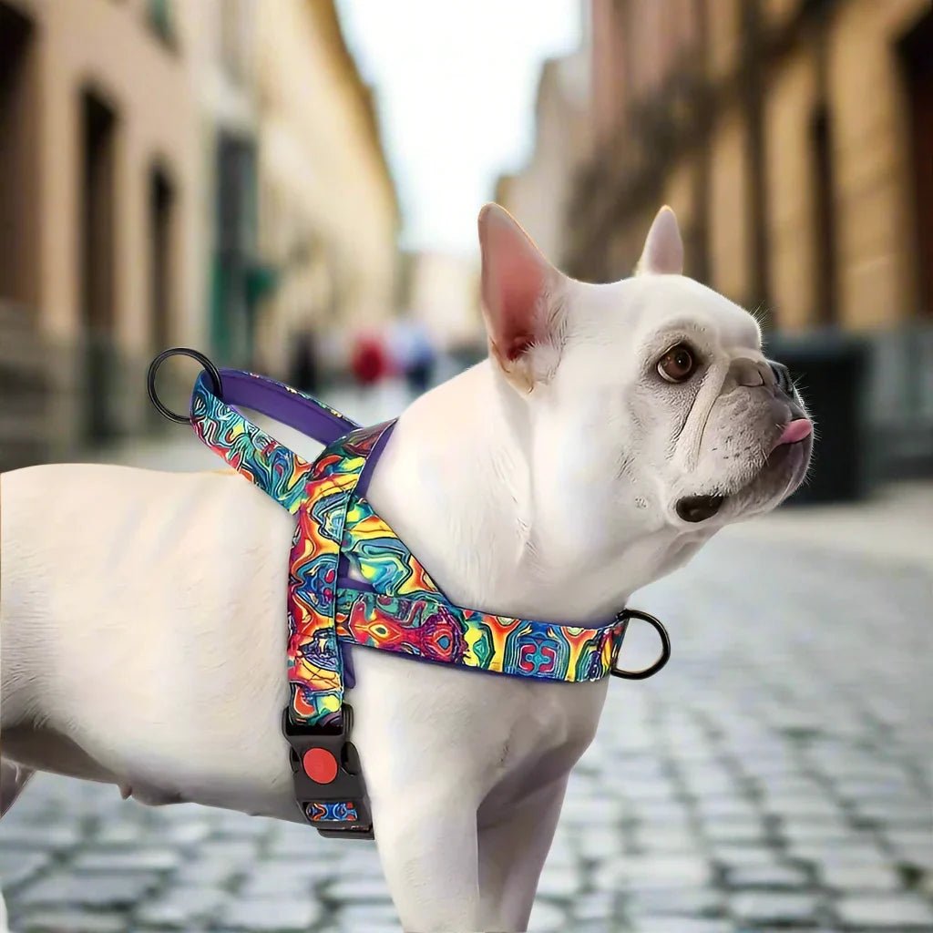 Harnais Chien - DogSafeHarness™ - Violet - Le Royaume des toutous