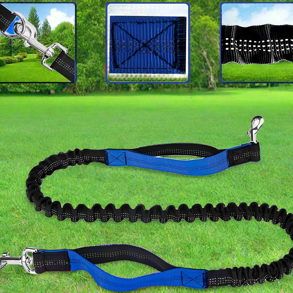 Laisse Chien - HandFreeDogLeash™ - Bleu - Le Royaume des toutous