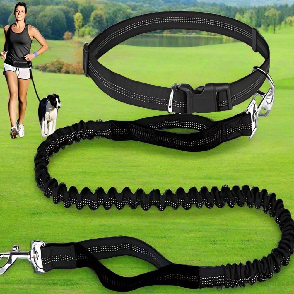 Laisse Chien - HandFreeDogLeash™ - Noir - Le Royaume des toutous