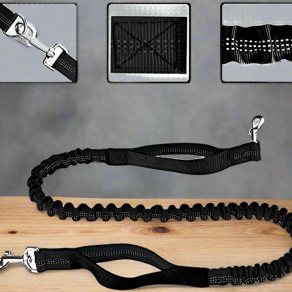 Laisse Chien - HandFreeDogLeash™ - Noir - Le Royaume des toutous