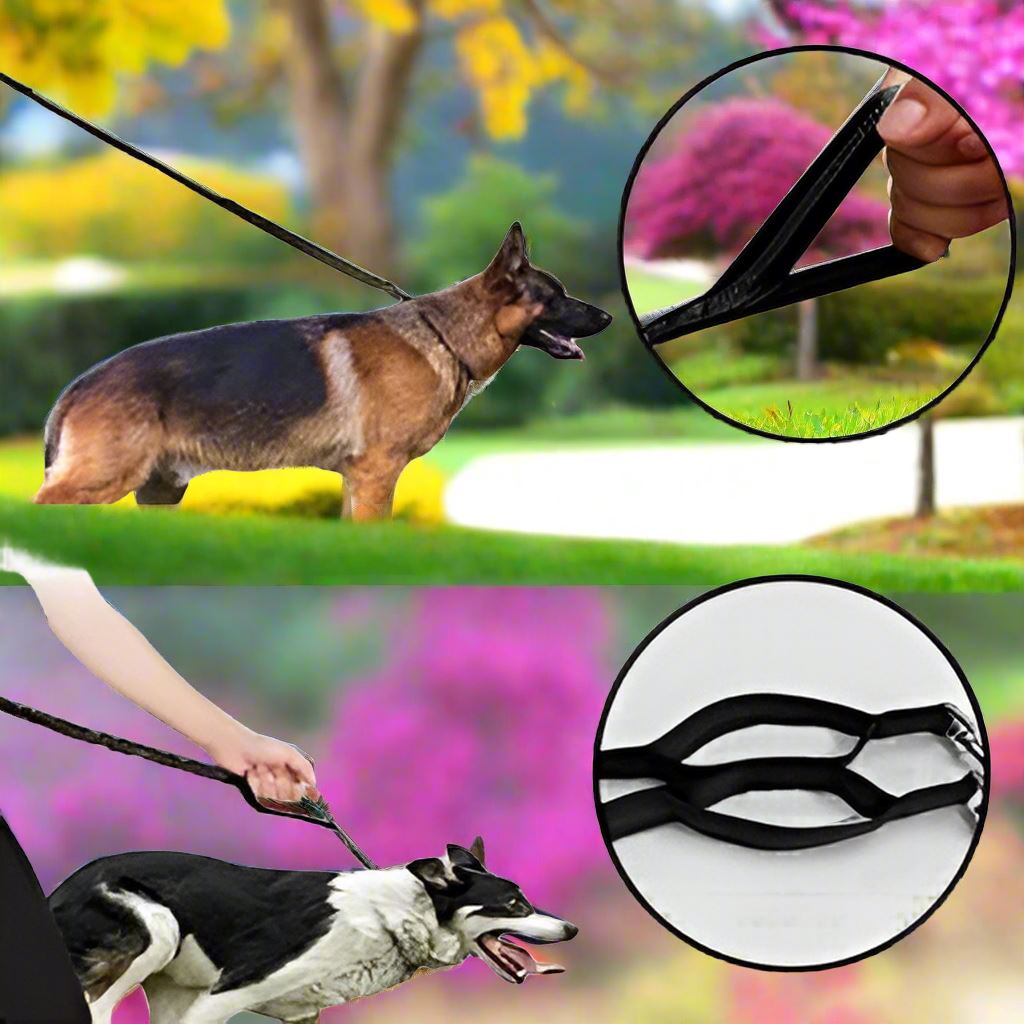 Laisse Chien - HandFreeDogLeash™ - Noir - Le Royaume des toutous