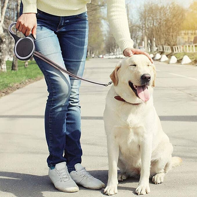 Laisse Chien - MaxLeash™ - Noir - Le Royaume des toutous