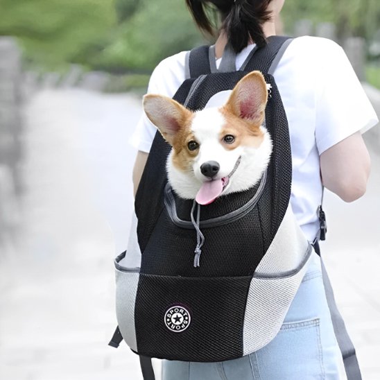 Sac à dos pour chien | Respirant & Sécurisé