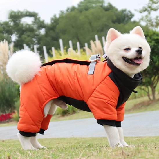 Manteau chien imperméable 4 pattes | Spitz Winter