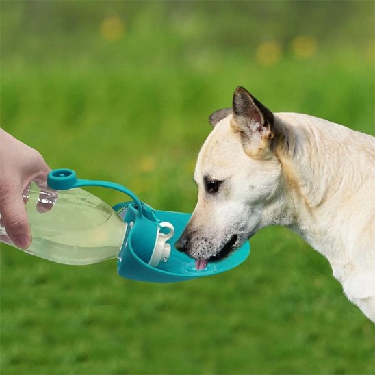Gourde chien | Portable Anti-fuites