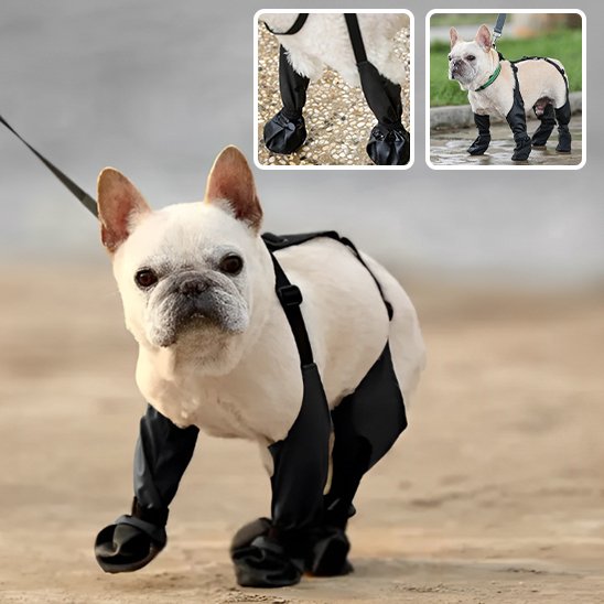 Bottes pour chien | Imperméables