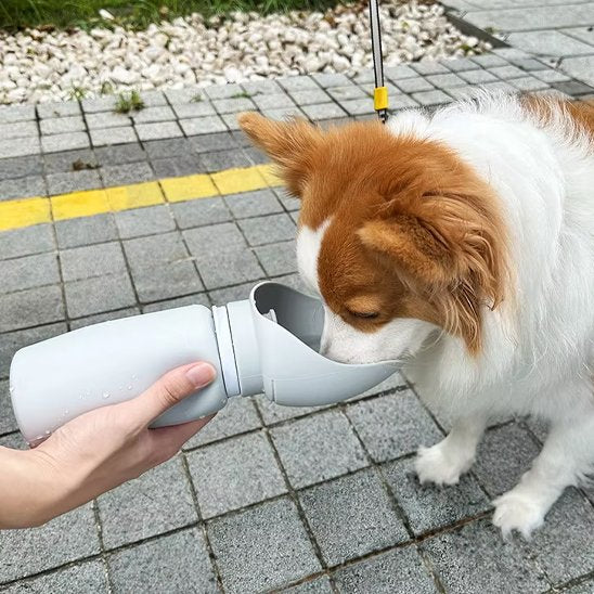 Gourde chien | Nomad 2-en-1