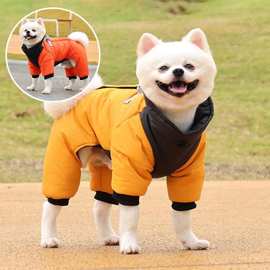 Manteau chien imperméable 4 pattes | Spitz Winter