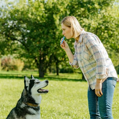 Sifflet à ultrason pour chien | DressCanin