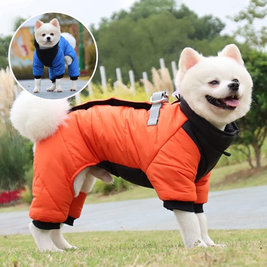 Manteau chien imperméable 4 pattes | Spitz Winter