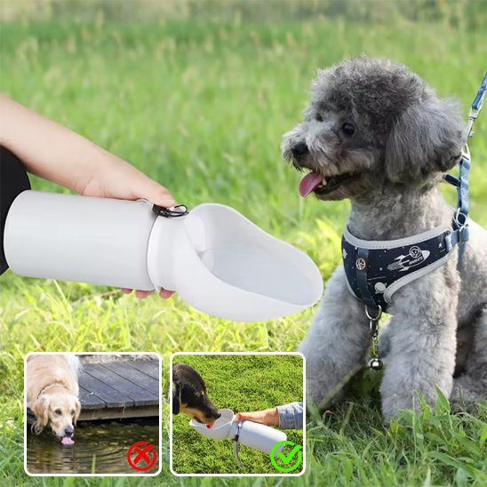 Gourde chien | Nomad 2-en-1
