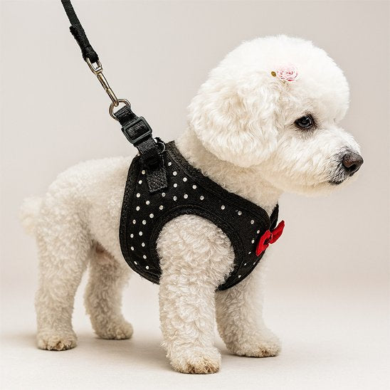 Harnais petit chien | Élégance Confort