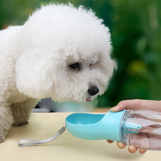 Gourde pour chien | Portable & Pliable