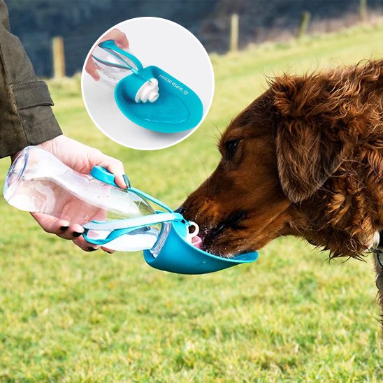 Gourde chien | Portable Anti-fuites