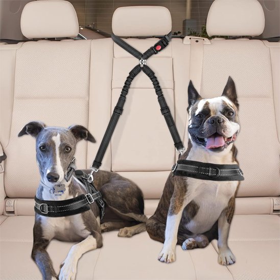Double laisse pour chien | PromenEasy