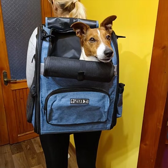 Sac de transport pour chien | Pets Ed