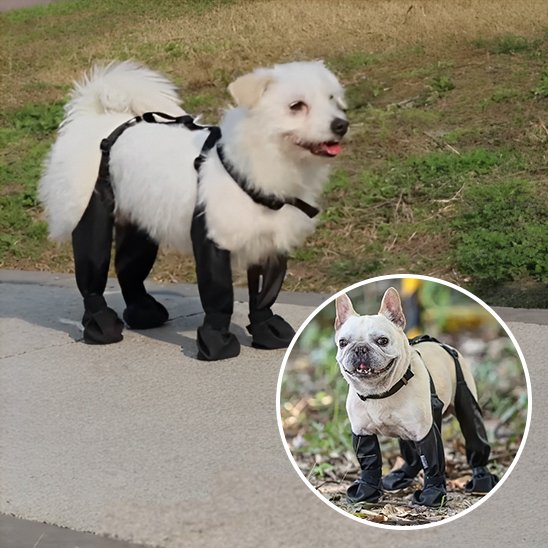 Bottes pour chien | Imperméables