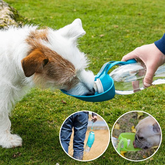 Gourde chien | Portable Anti-fuites