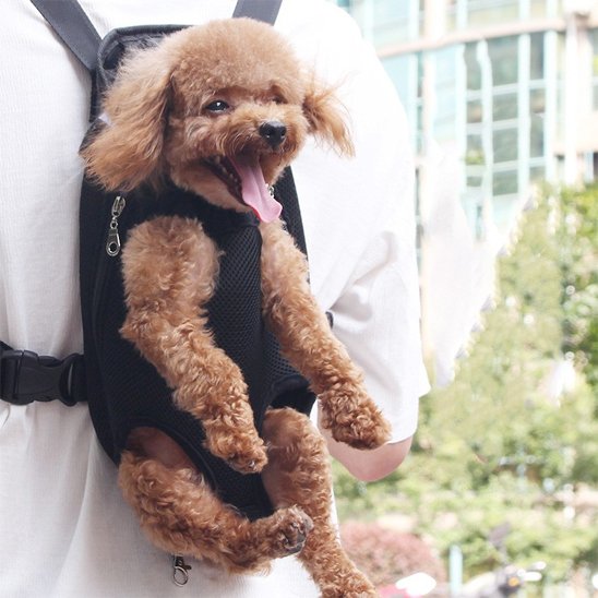Sac de transport chien | Ventral Confort