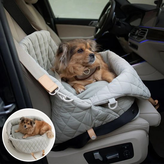 Sac de transport pour chien | Securitravel