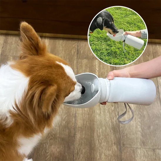 Gourde chien | Nomad 2-en-1