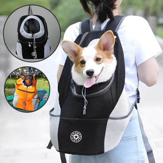 Sac à dos pour chien | Respirant & Sécurisé