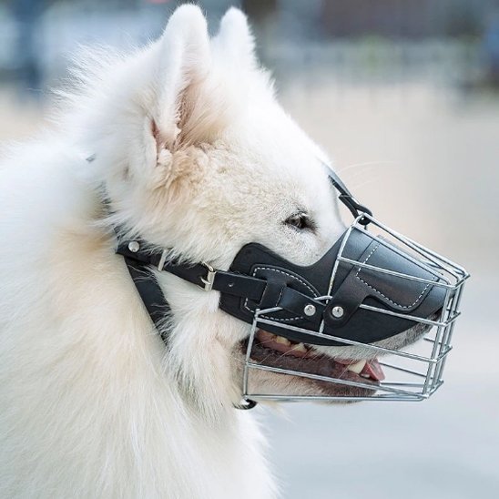Muselière pour chien | Confort Secure