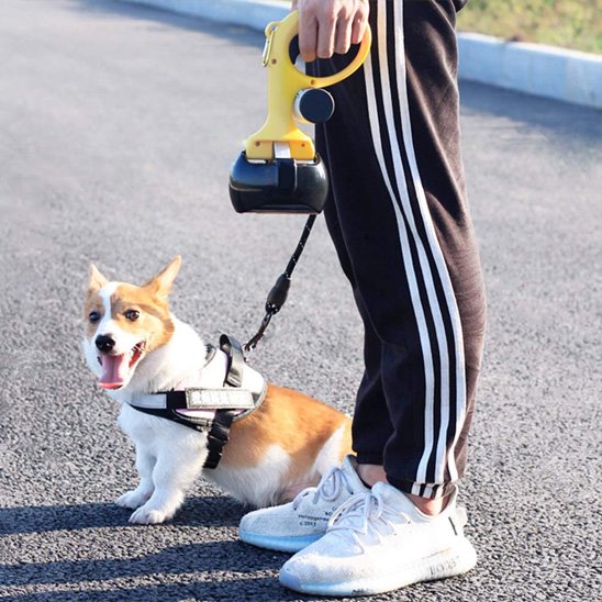 Ramasse Crottes pour Chien | Ergonomique