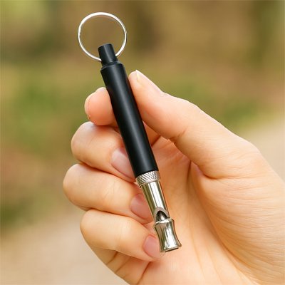 Sifflet à ultrason pour chien | DressCanin