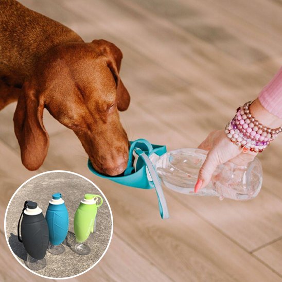 Gourde chien | Portable Anti-fuites