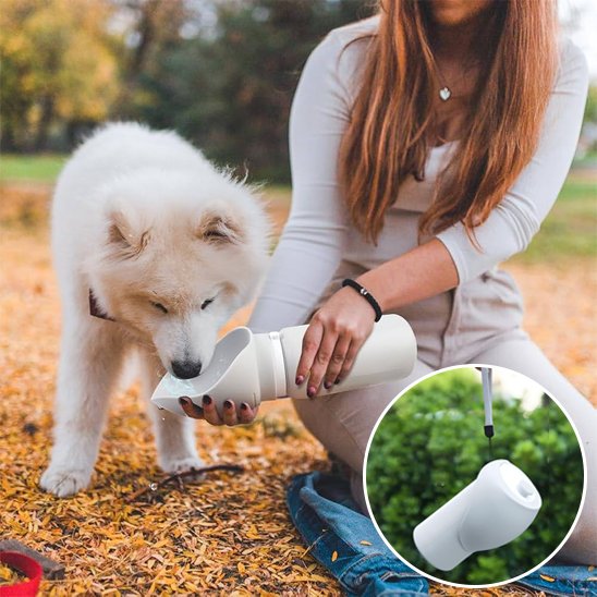 Gourde chien | Nomad 2-en-1