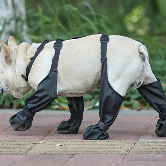Bottes pour chien | Imperméables