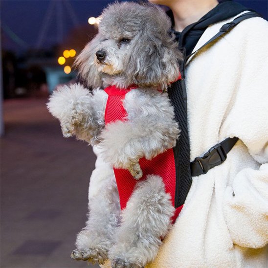 Sac de transport chien | Ventral Confort