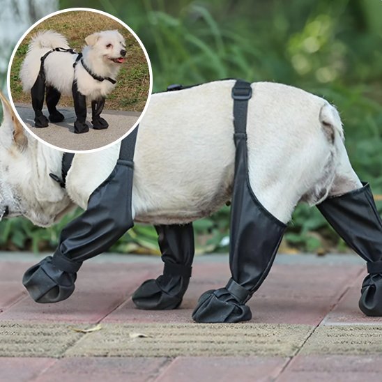 Bottes pour chien | Imperméables