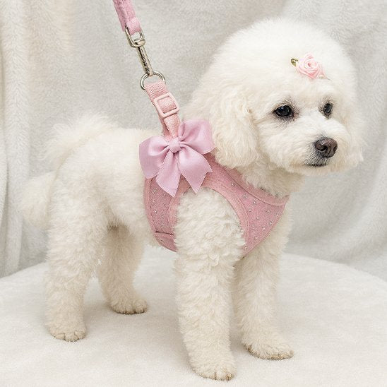 Harnais petit chien | Élégance Confort