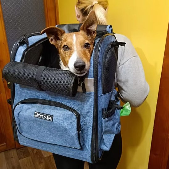 Sac de transport pour chien | Pets Ed