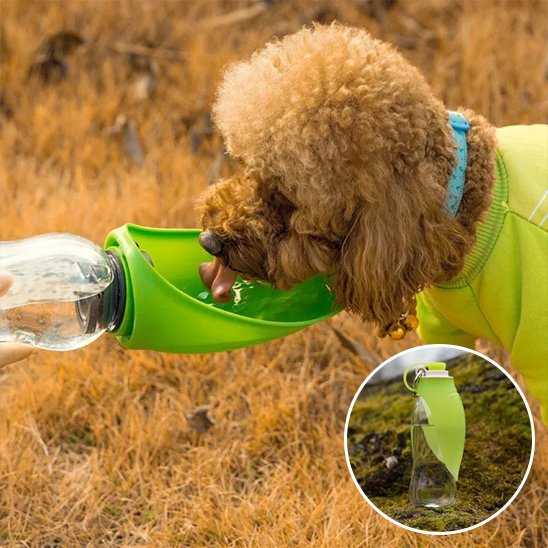 Gourde chien | Portable Anti-fuites