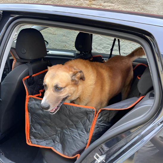 Protection Voiture Chien | HamacImper