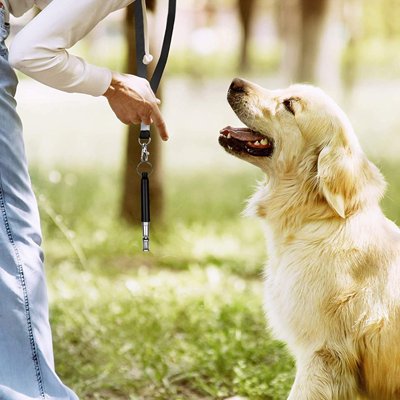 Sifflet à ultrason pour chien | DressCanin