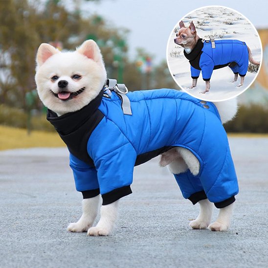 Manteau chien imperméable 4 pattes | Spitz Winter