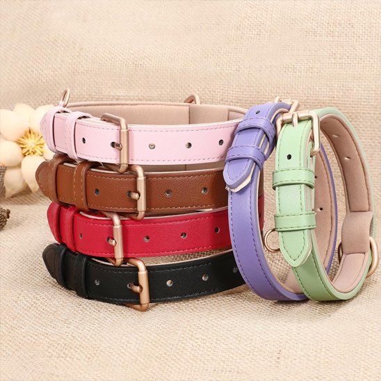 Collier chien | Cuir Véritable